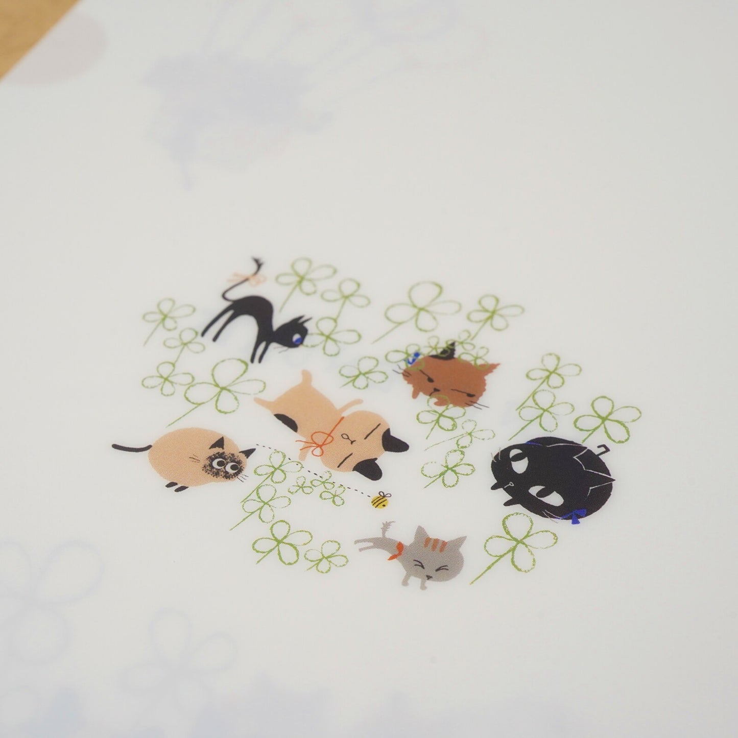 Klarsichtfolie A5 UNGLEICHE KATZEN Klee