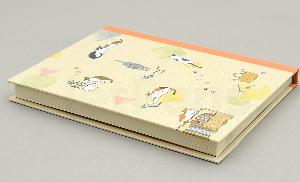 Midori 1 Year Diary - B6 - Cat