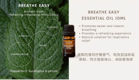 Cleén Car Vent Diffuser + Breathe Easy Bundle