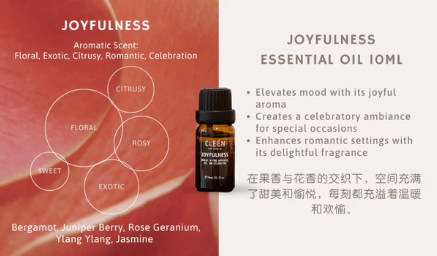 Cleén Car Vent Diffuser + Joyfulness Bundle