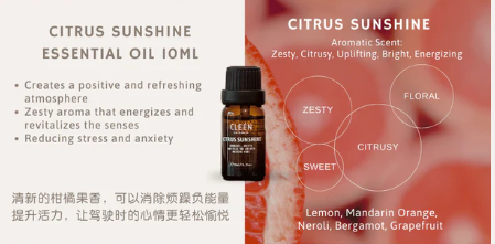 Cleén Car Vent Diffuser + Citrus Sunshine Bundle